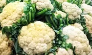 Ternyata Kembang Kol Juga Bisa Mengatasi Gangguan Kesehatan dan Kecantikan