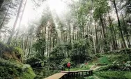 Rekomendasi Destinasi Wisata Prabalintang Danasari di Tegal, Berlokasi di Hutan Pinus Yang Sejuk!