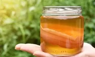 Tutorial Membuat Teh Kombucha