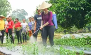 Kenali Lebih Dekat Program Wisata Urban Farming di INAGRO, Destinasi Wisata Berbasis Pertanian