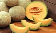 9 Manfaat Melon Untuk Kesehatan