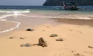 Pantai Carolina, Destinasi Wisata Alam Terbaik dan Terpopuler di Kota Padang Sumatera Barat!