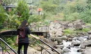 Rute Lokasi Destinasi Wisata Alam dan Penginapan Pendopo Ciherang Sentul Bogor, Ternyata Dekat Dari Ibu Kota!