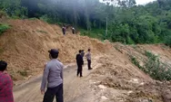 Tertimbun longsor jalan penghubung Kaur Tengah - Kecamatan Luas lumpuh total 