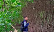 Eits! Bekasi Punya Cerita : Ekowisata Hutan Mangrove di Muara Gembong