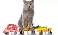 Jangan diberikan, 10 makanan ini bahaya buat kucing kalian!