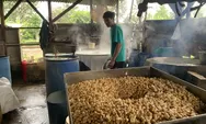 Manfaat Tempe Bosok Makanan Bergizi Tinggi , Yang Wajib Kamu Ketahui!!