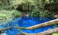 Wisata Alam Danau Kaco : Mutiara Biru Penuh Legenda di Provinsi Jambi!