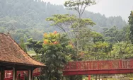 Destinasi Wisata Pendopo Ciherang Sentul Bogor, Tempat Healing yang Sedang Viral!