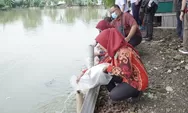 Kembangkan Budidaya Ikan, Kecamatan Semarang Timur Tebar 3.000 Benih di Panti Wreda Balai Keselamatan