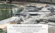 So Scared! Taman Buaya Indonesia Jaya Bekasi : Destinasi Wisata Reptil Terbesar di Asia