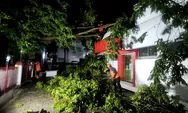 Hujan Deras Disertai Angin Kencang Sebabkan Pohon Tumbang