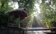 Menakjubkan! Bunut Ngengkang Lombok : Wisata Pemandian Alam Ditengah Hutan Tropis