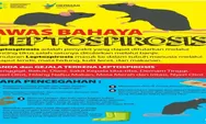 374 Kasus Leptospirosis Ada di Jawa Tengah