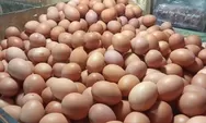 Harga Pangan Telur, Daging Ayam dan Bawang Putih pada naik di tanggal 25 Oktober