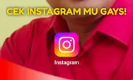 Cek Instagram Mu! Followers Banyak Berkurang? segera Cek Akun Mu Gays