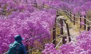 Rekomendasi 6 Destinasi Wisata di Daegu Korea Selatan, Suasana Romantis Bareng Pasangan Maupun Solo Traveling