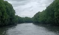 Wisata Mangrove Desa Pengarengan, Tempat Wisata Baru di Cirebon Bagian Timur