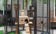 Cat lovers, inilah 5 tips memilih desain kandang kucing terbaik