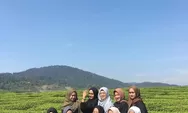 Lagi Hits! Wisata Kebun Teh Alahan Panjang dan Puncak Gobah di Solok Sumatera Barat yang Harus Dikunjungi