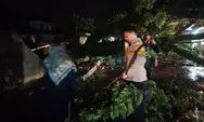 Hujan Deras Akibatkan Pohon Tumbang di Ciomas, Pihak Kepolisian Lakukan Rekayasa Arus Lalin
