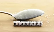 5 Obat Alami untuk Mengatasi Penyakit Diabetes