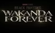 Black Panther:Wakanda Forever Disebut Sebagai Film Terbaik Marvel Studios, Begini Komentar Penonton