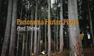 Lagi Hits !!! Berikut 3 Destinasi Wisata Alam Paling Populer Di Kabupaten Poso, Nomor 3 Paling Instagramable