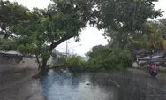 Angin Kencang Sebabkan Puluhan Rumah Warga di Lombok Barat Rusak