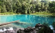 Fantastic!!! Yuk Ketahui 3 Danau Terindah di Indonesia, Nomor 3 Berada di Papua!