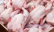 Harga Ayam Naik dalam Sepekan Terakhir, Termahal di Kabupaten Sumba Timur