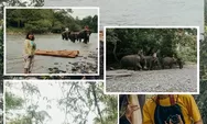 Tempat Wisata Tangkahan Langkat Sumatera Utara : Me Time sambil Mandiin Gajah Yuk!