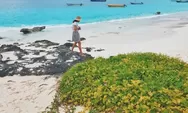 ‘Pulau Asu’: Top 1 Part 2 Destinasi Wisata Terbaik dan Terpopuler di Pulau Nias, Jiwa Petualang Wajib Kunjungi