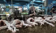 Meski Masih Stabil, Harga Daging Ayam di Kota Semarang Diprediksi akan Naik Jelang Akhir Tahun