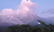 Dampak erupsi Gunung Semeru, 699 warga masih mengungsi, begini kondisinya