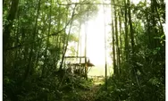 Menarik Nih! Destinasi Wisata Alam 'Taman Sicike Cike' di Sumatera Utara, Sensasi Liburan di Hutan Belantara