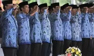 Revisi UU ASN Ada 6 Kategori Tenaga Honorer Diangkat Menjadi PNS Tanpa Tes