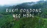 Keindahan Alam Bukit Condong Deastinasi Wisata di Kabupaten Indragiri Hilir Riau Yang Harus Kamu Tau