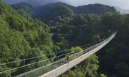 Rasakan Sensasi Jembatan Gantung Terpanjang Se-Indonesia di Situ Gunung Suspension Bridge Sukabumi
