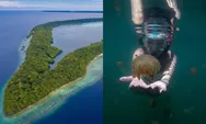 Seru Banget! Destinasi Wisata Alam Danau Kakaban, Sensasi Berenang Bersama Ubur-ubur di Kalimantan Timur   