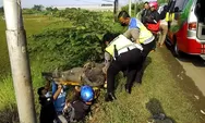 Diduga Ngantuk, 2 Pengendara Motor di Kendal Terjun ke Sawah