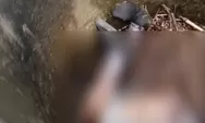 5 Fakta Pembunuhuan Siswi SMA di Deli Serdang, Mayatnya Dibuang ke Dalam Sumur Tua