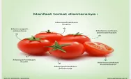 Wow Ini Dia 7 Manfaat Buah Tomat Bisa Mencegah Sel Kanker