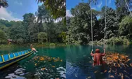 Yuk, Simak 5 Rekomendasi Destinasi Wisata Alam di Majalengka : Alamnya Juara Banget!   