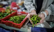 Daftar Harga Bahan Pokok di Pasar Kota Medan, Sumatera Utara April 2023 Jelang Idul Fitri, Segini Harga Cabai