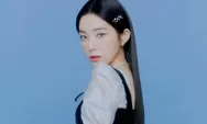 Buktikan Irene Red Velvet Punya Kelas Sebagai Leader Red Velvet