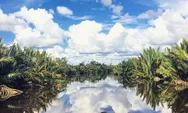 Bagaikan Sungai Amazon! Ini Dia Destinasi Wisata Sungai Sekonyer di Kalimantan Tengah