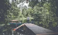 3 Rekomendasi Destinasi Wisata di Tanjung Jabung Timur Jambi, Nomor 2 Tempat Migrasi Burung Lho!