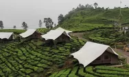 Glamping Likeside Wajib Kamu Kunjungi Saat Liburan Ke Pangalengan