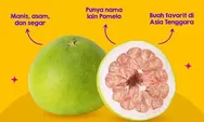 Yuk jaga imunitas tubuh dengan konsumsi jeruk bali, berikut manfaatnya